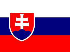 Slovenský jazyk